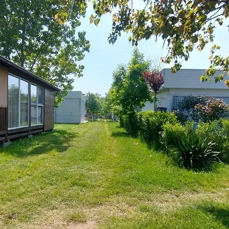 Campsite Oasis Blue Lozenets